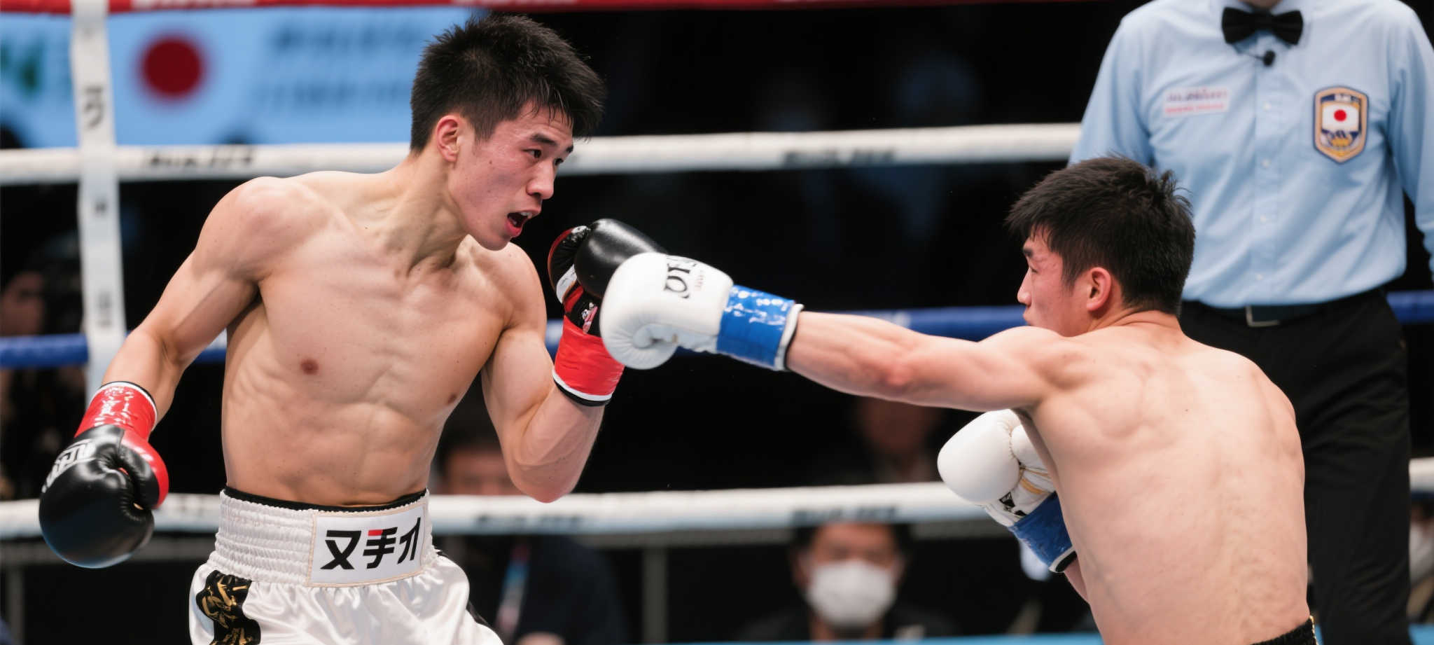 华体会体育简介